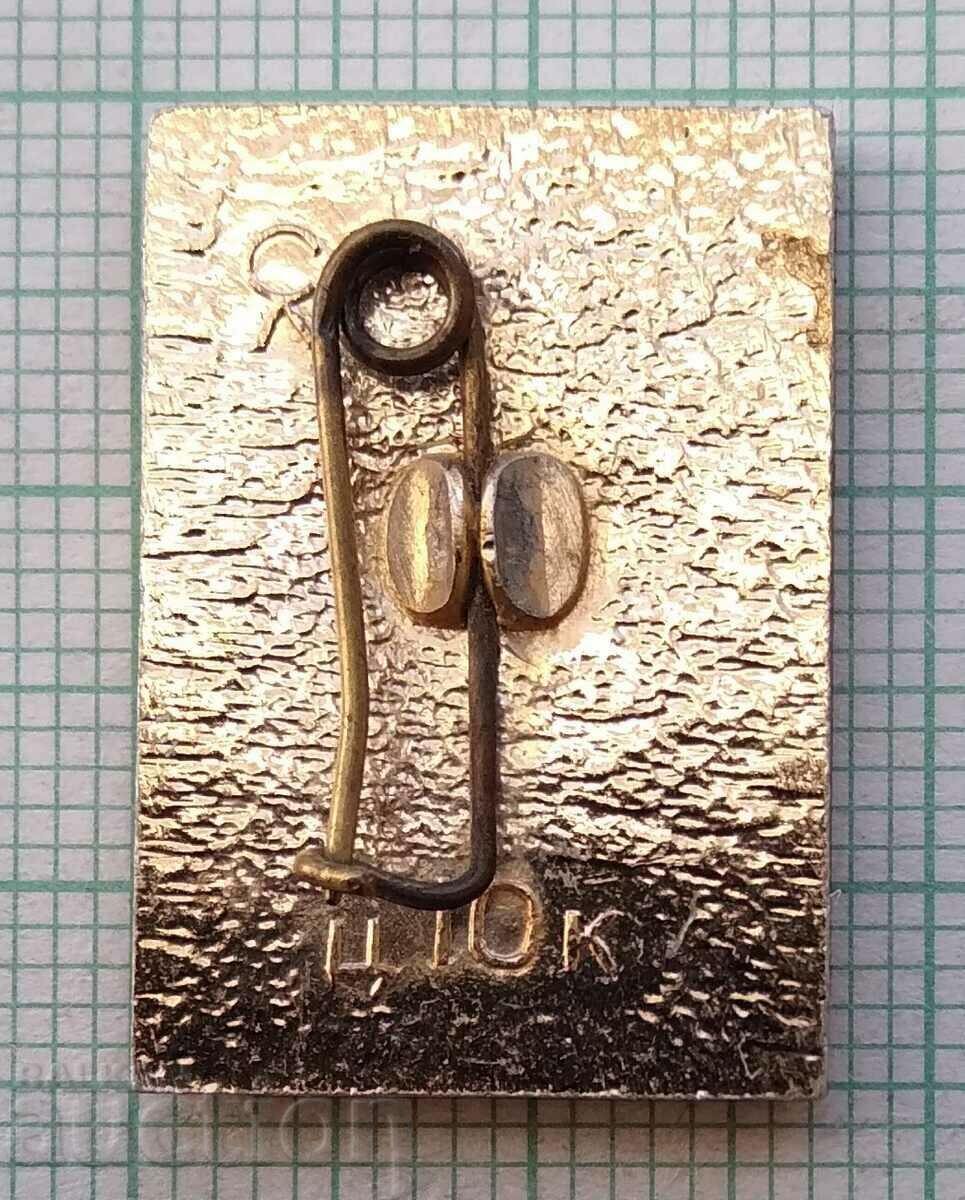 Delivery of 13961 Badge - Ship Aurora