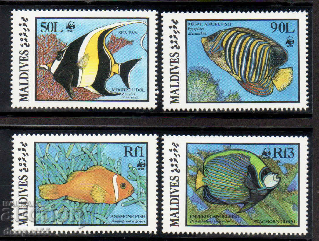 1986. Maldive. Fauna marina.