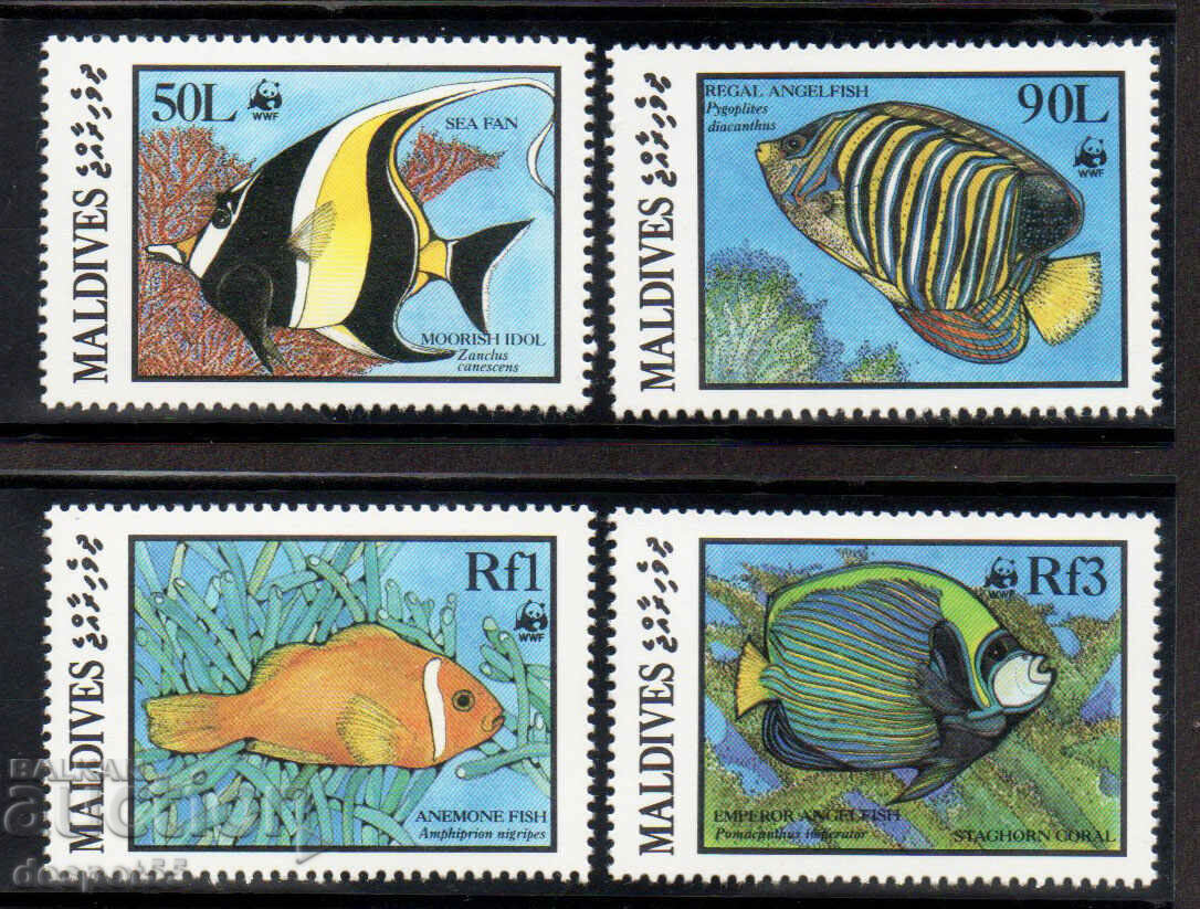 1986. Maldive. Fauna marina. 1986. Maldive. Fauna marina.