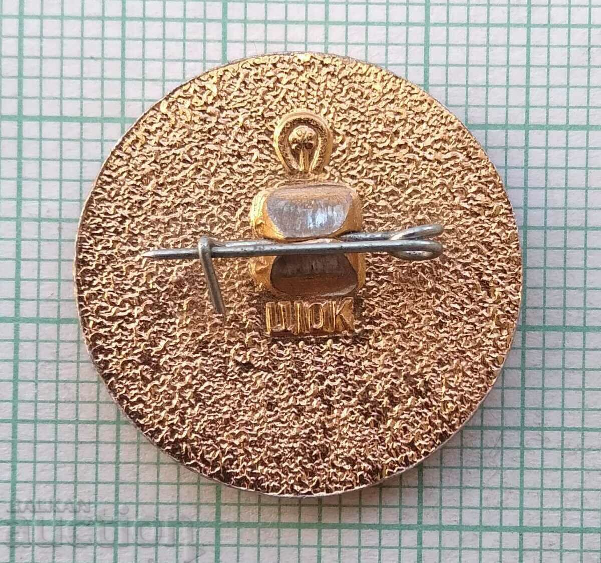 13978 Badge - Lenin - 5 13978 Badge - Lenin - 5