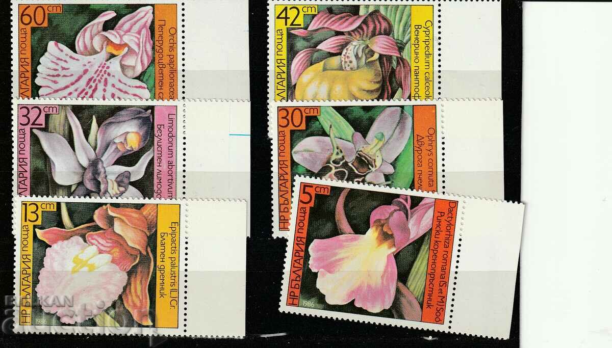 Bulgaria 1986 Orhidee BK№3482/7 curat