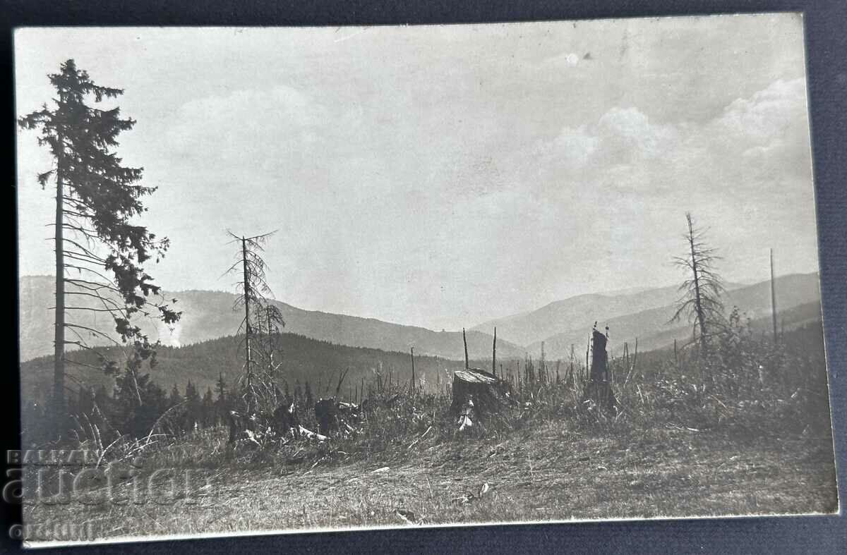 3991 Kingdom of Bulgaria Pirin view from the peaks 20s