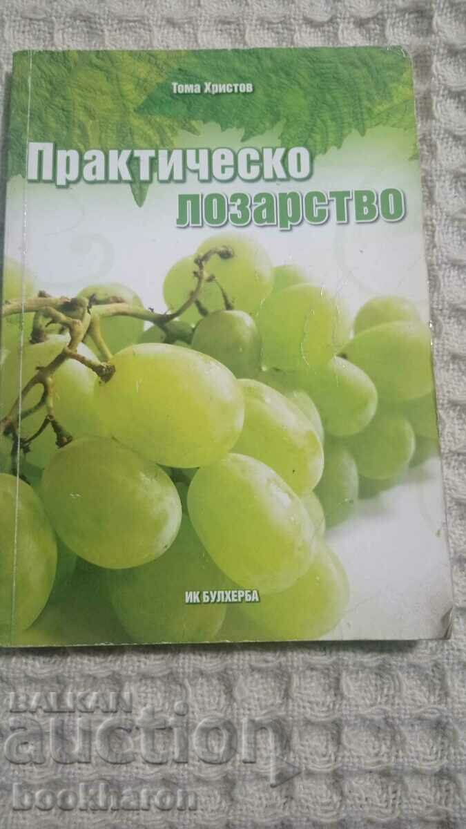Toma Hristov: Practical viticulture