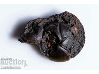Ammonite Substituted Hematite 4.1g 24mm #8