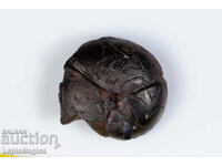 Ammonite Replaced with Hematite 3.7g 17mm #11