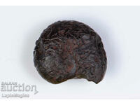 Ammonite Substituted Hematite 3.6g 17mm #12
