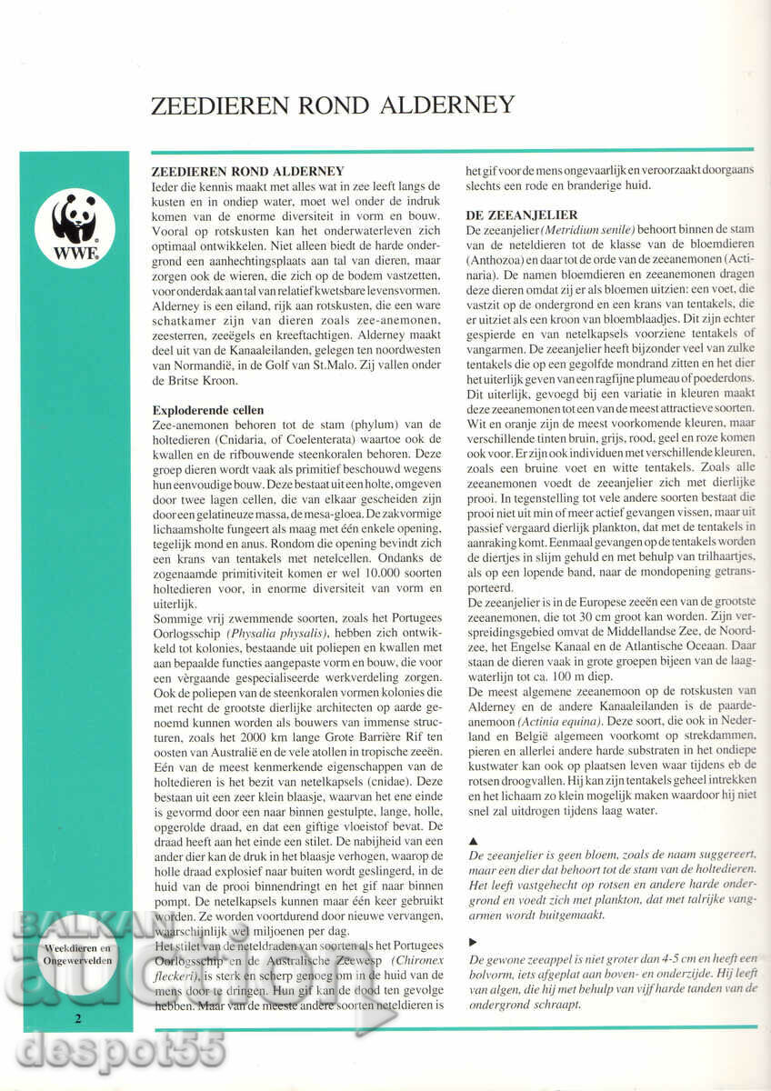 Auction 1993. Alderney. Marine life. Strip. Auction 1993. Alderney. Marine life. Strip.