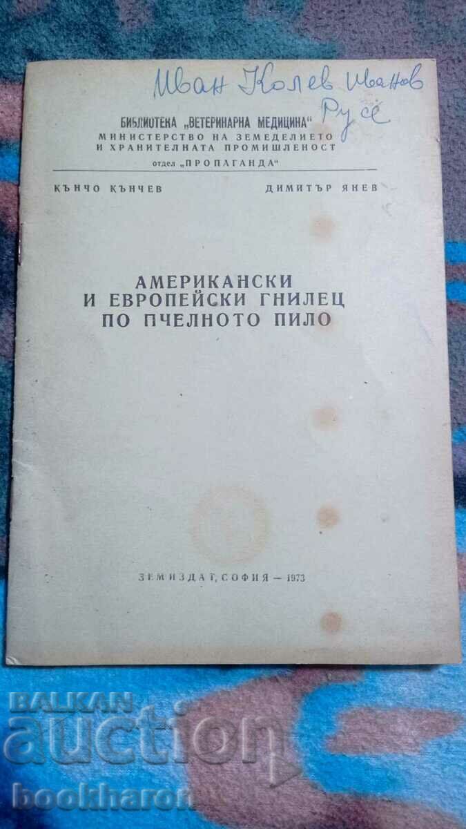 American and European brood rot