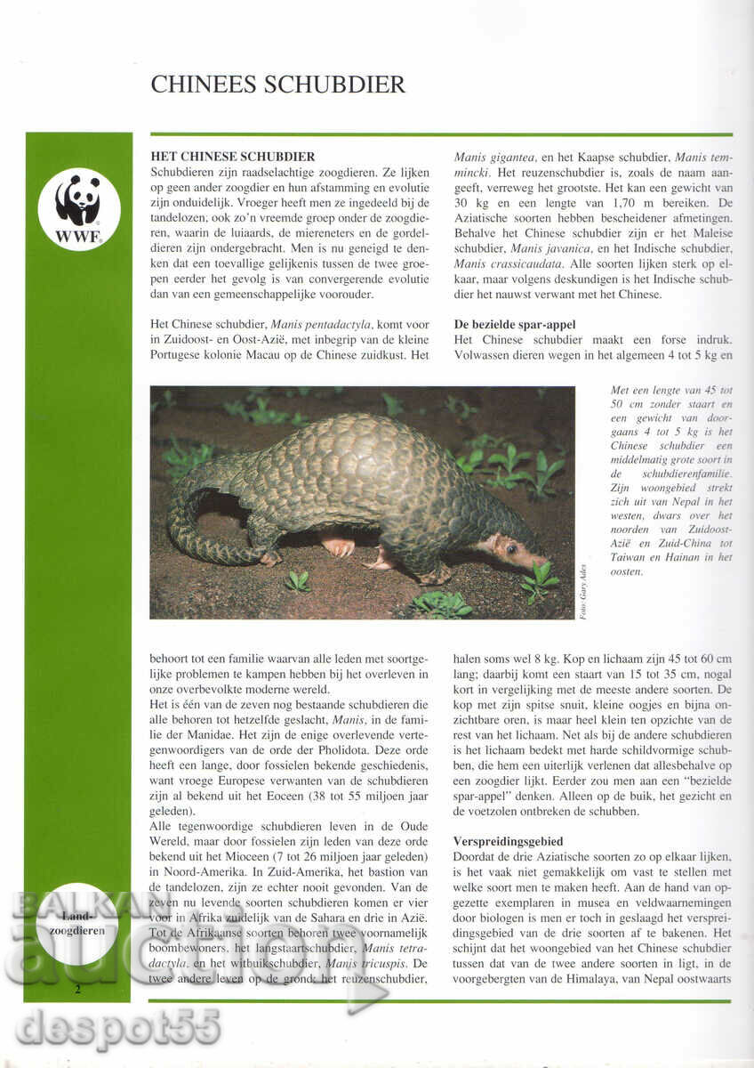 Auction 1995. Macau. Conservation of the Chinese "Asiatic" pangolin. Strip. Auction 1995. Macau. Conservation of the Chinese "Asiatic" pangolin. Strip.