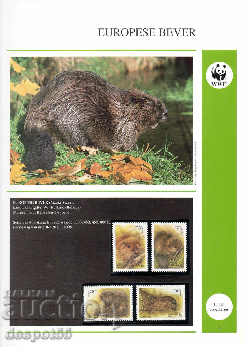 1995. Belarus. European beaver. with price 3.50 BGN | € 1.79 1995. Belarus. European beaver. with price 3.50 BGN | € 1.79