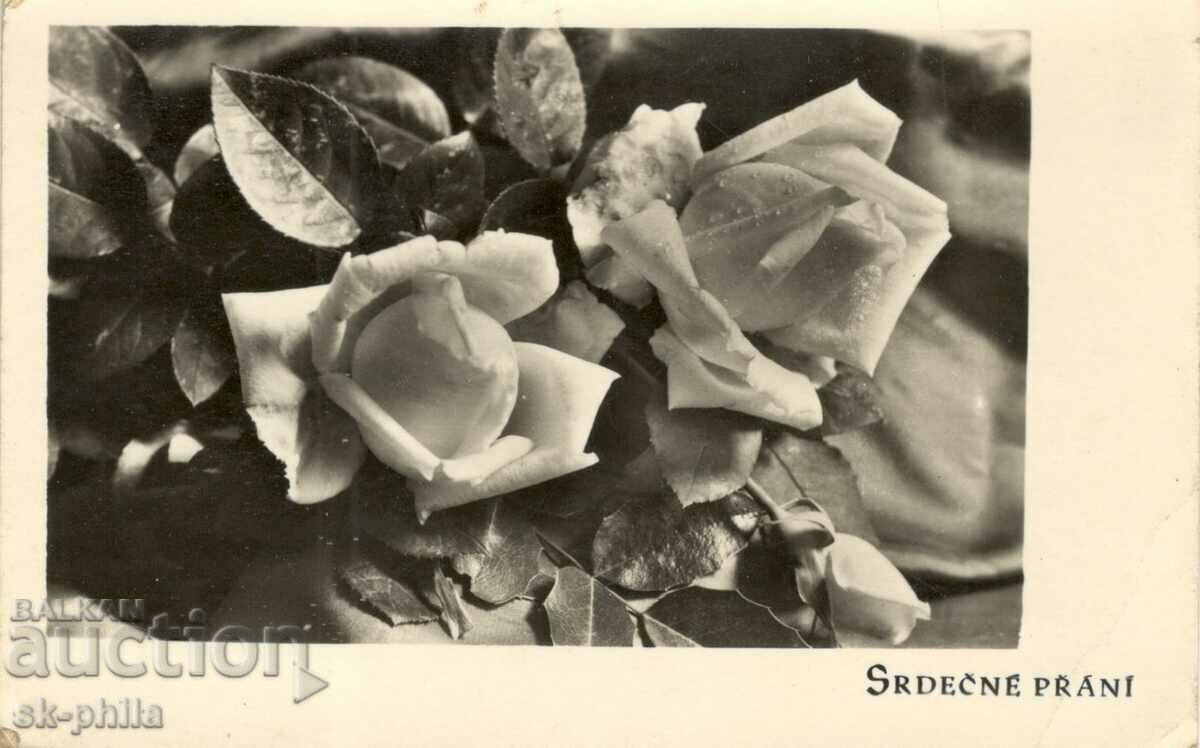 Old greeting card - Happy Spring! Roses