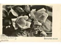 Стара картичка - поздравителна - Честита пролет! Рози