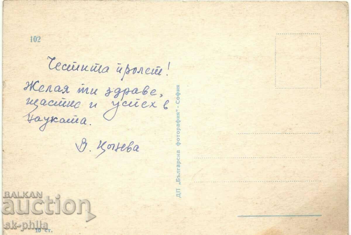 Стара картичка - поздравителна - Честита пролет! Лалета с цена 0.30 лв. | € 0.15 Стара картичка - поздравителна - Честита пролет! Лалета с цена 0.30 лв. | € 0.15