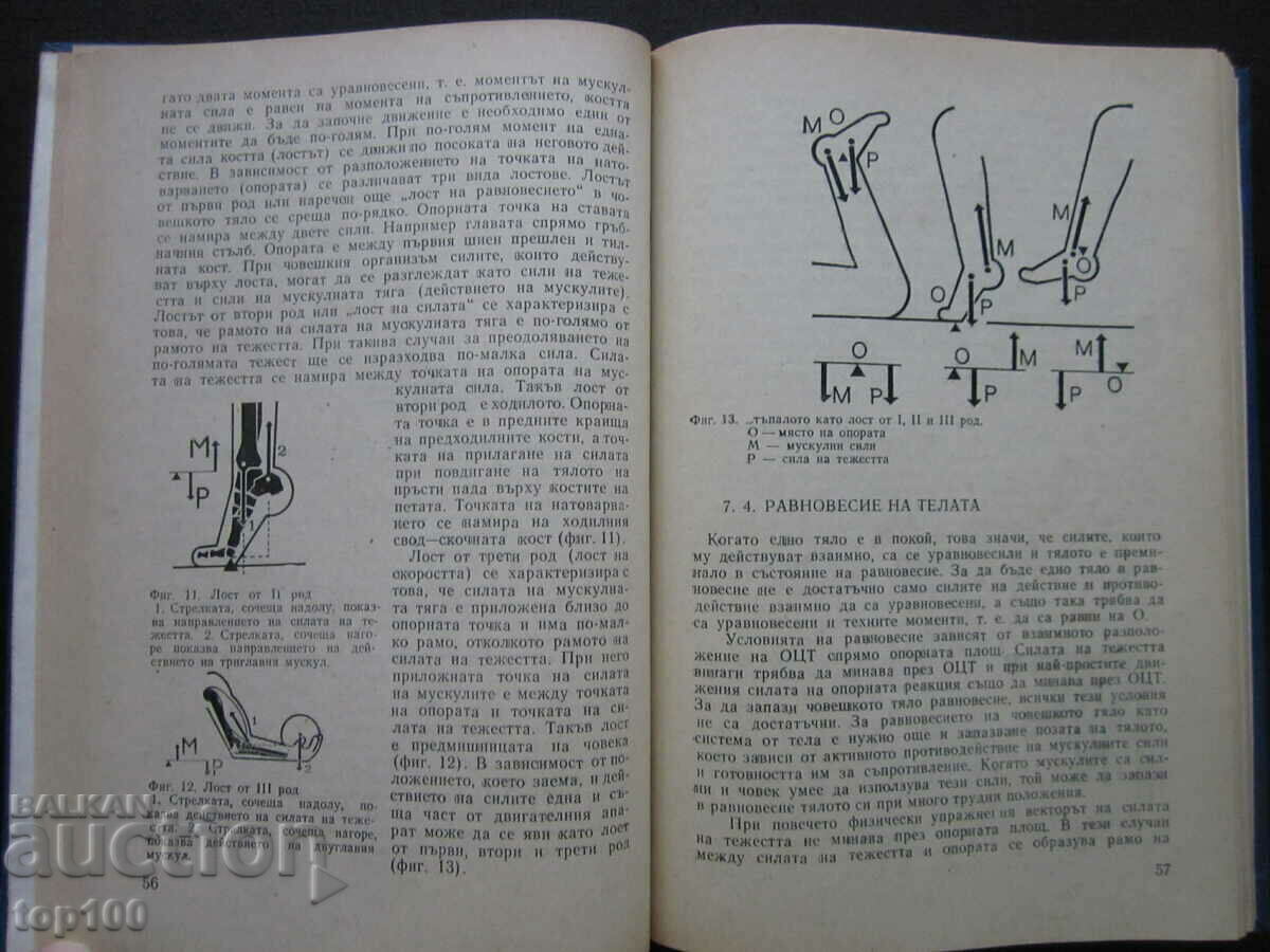 Доставка на ТЕОРИЯ И МЕТОДИКА НА ФИЗИЧЕСКОТО ВЪЗПИТАНИЕ 1979г.!!! Доставка на ТЕОРИЯ И МЕТОДИКА НА ФИЗИЧЕСКОТО ВЪЗПИТАНИЕ 1979г.!!!