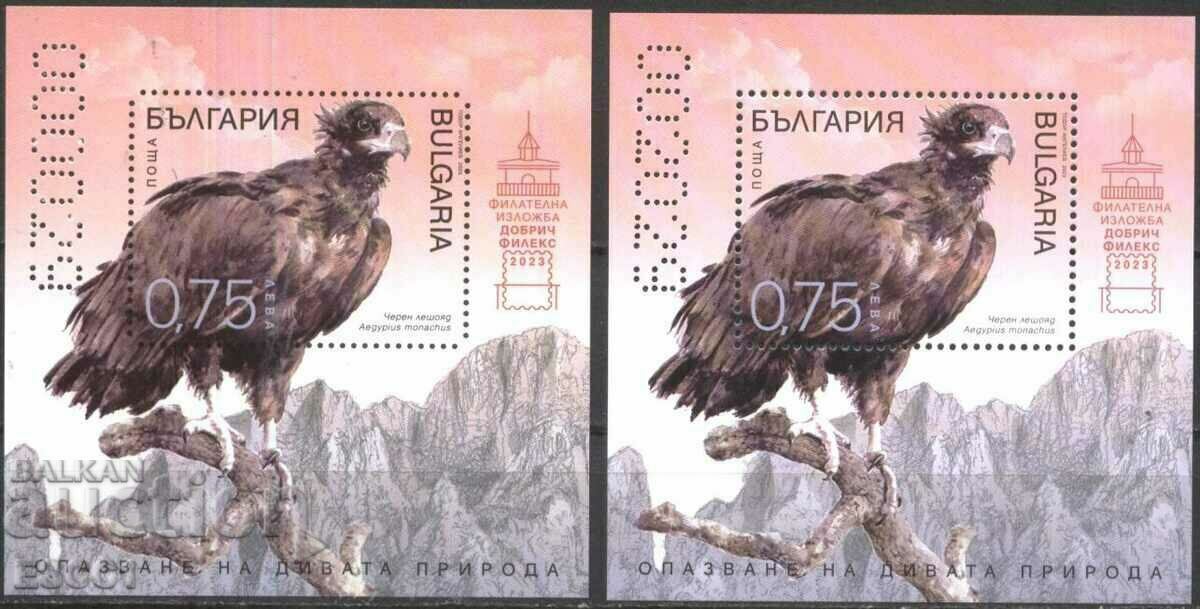 Clean Blocks Fauna Bird Black Vulture 2023 din Bulgaria