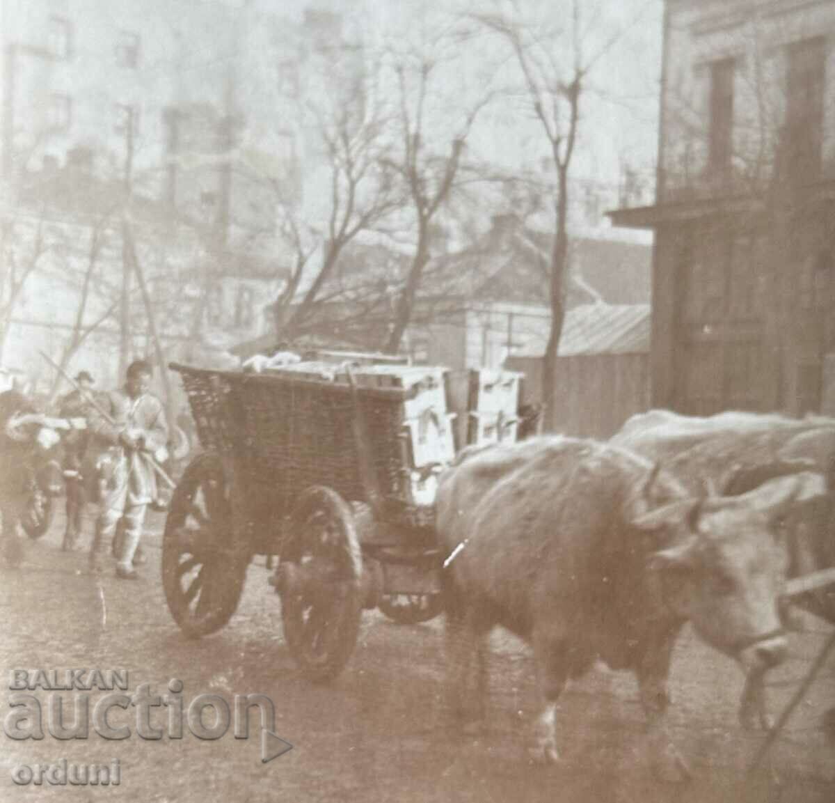 4020 Kingdom of Bulgaria Sofia Balkan War 1912 Foreign photo with price 80.00 BGN | € 40.90 4020 Kingdom of Bulgaria Sofia Balkan War 1912 Foreign photo with price 80.00 BGN | € 40.90