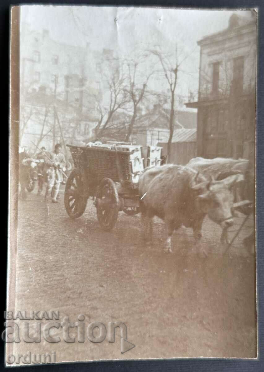 4020 Regatul Bulgariei Sofia Războiul Balcanic 1912 Fotografie străină