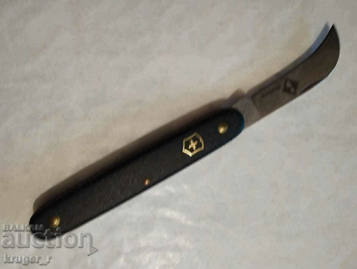 Auction Swiss leg Auction Swiss leg