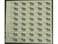 SUA, 1972. Jocurile Olimpice de la Munchen.