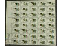 ΗΠΑ, 1972. Ολυμπιακοί Αγώνες του Μονάχου.