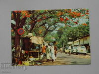 Card: Conakry - Guinea - 1963