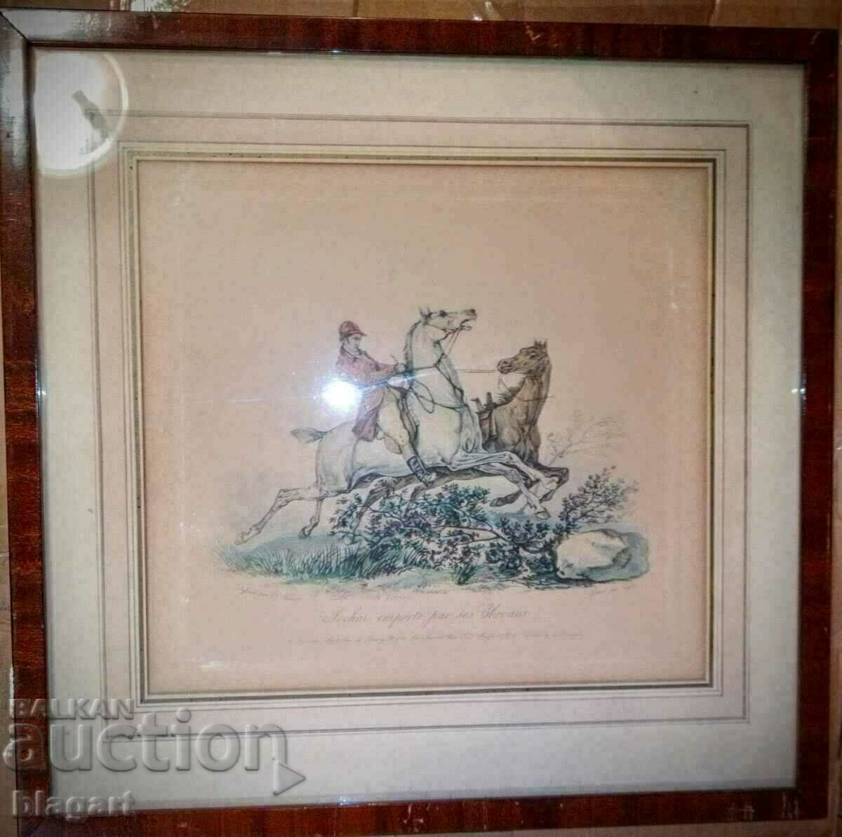 Graphics, lithograph - Arabian horse breed with price 75.00 BGN | € 38.35