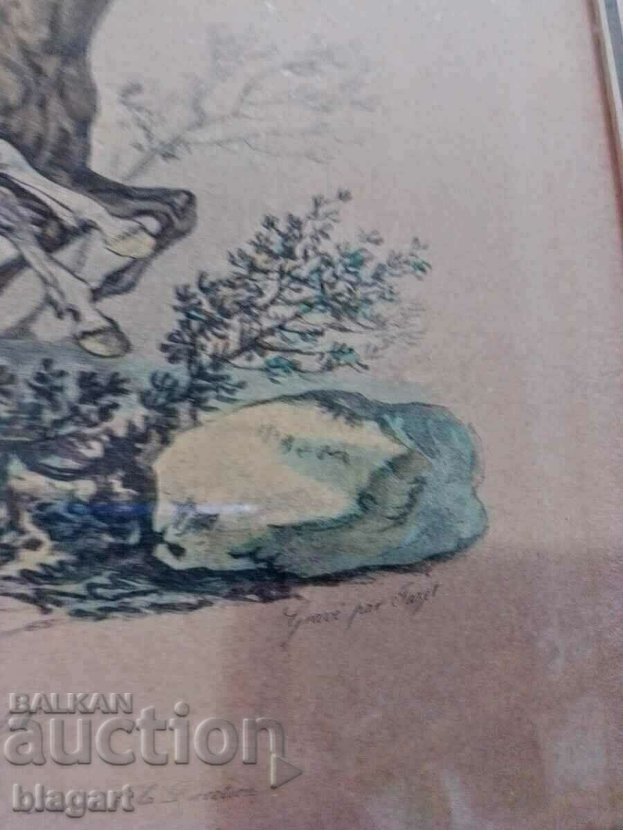 Graphics, lithograph - Arabian horse breed - 5