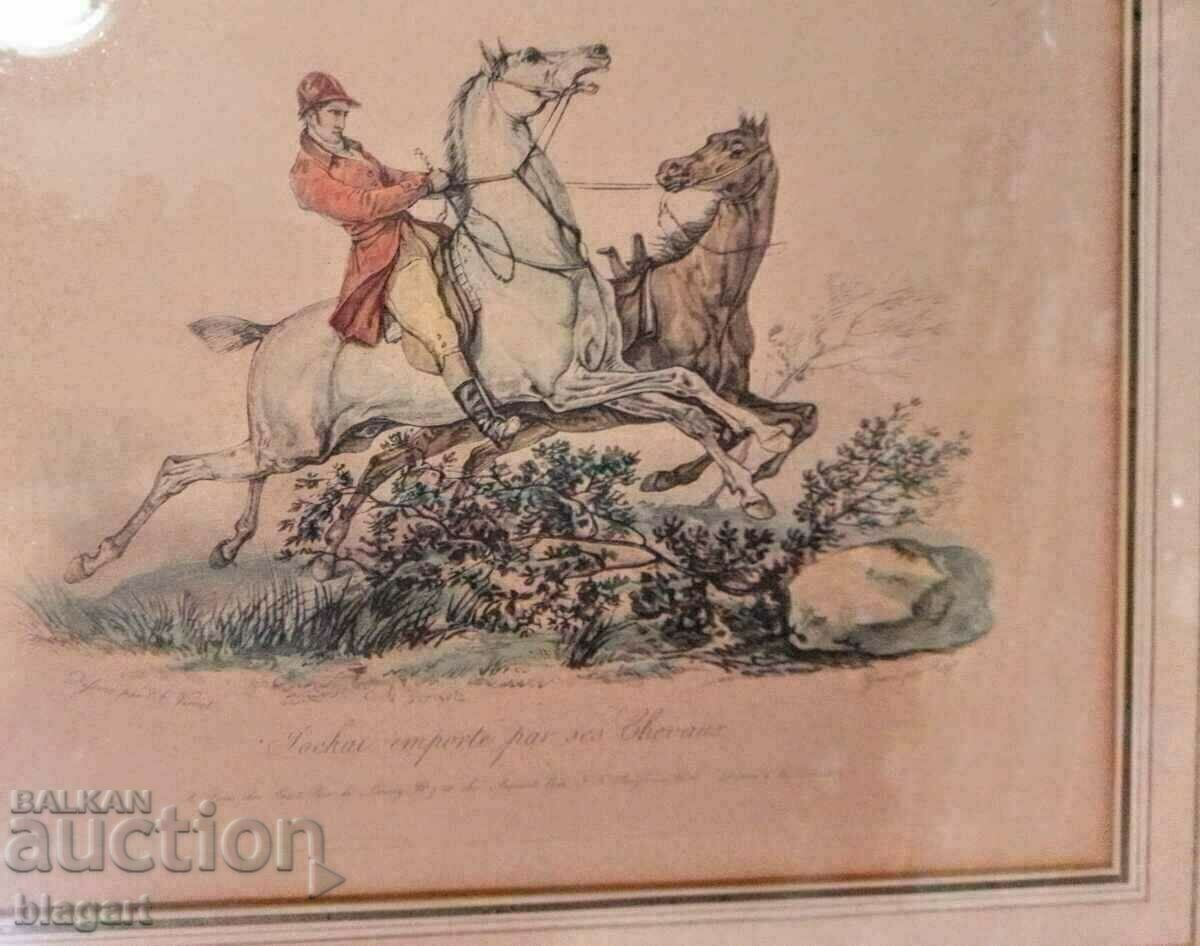 Graphics, lithograph - Arabian horse breed