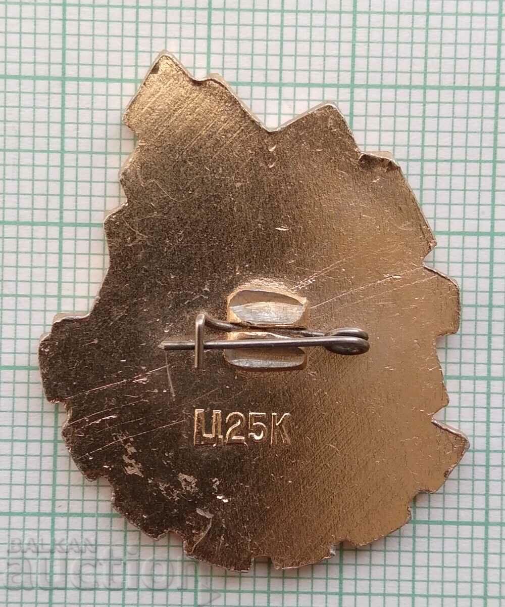 Auction 14046 Badge - KMA Belgorod Auction 14046 Badge - KMA Belgorod