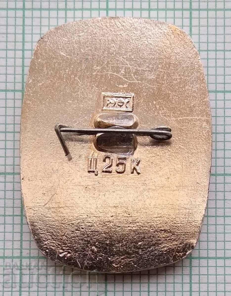 Auction 14062 Badge Auction 14062 Badge