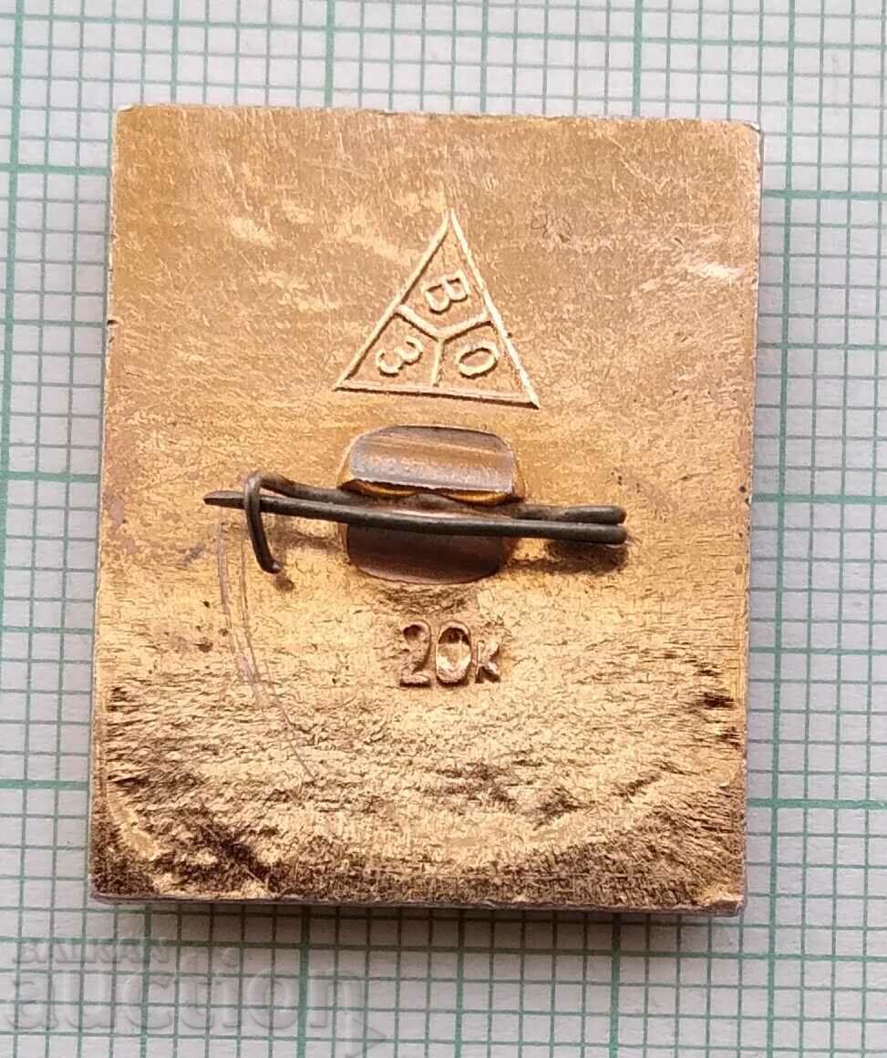 Auction  14079 Badge - Suzdal