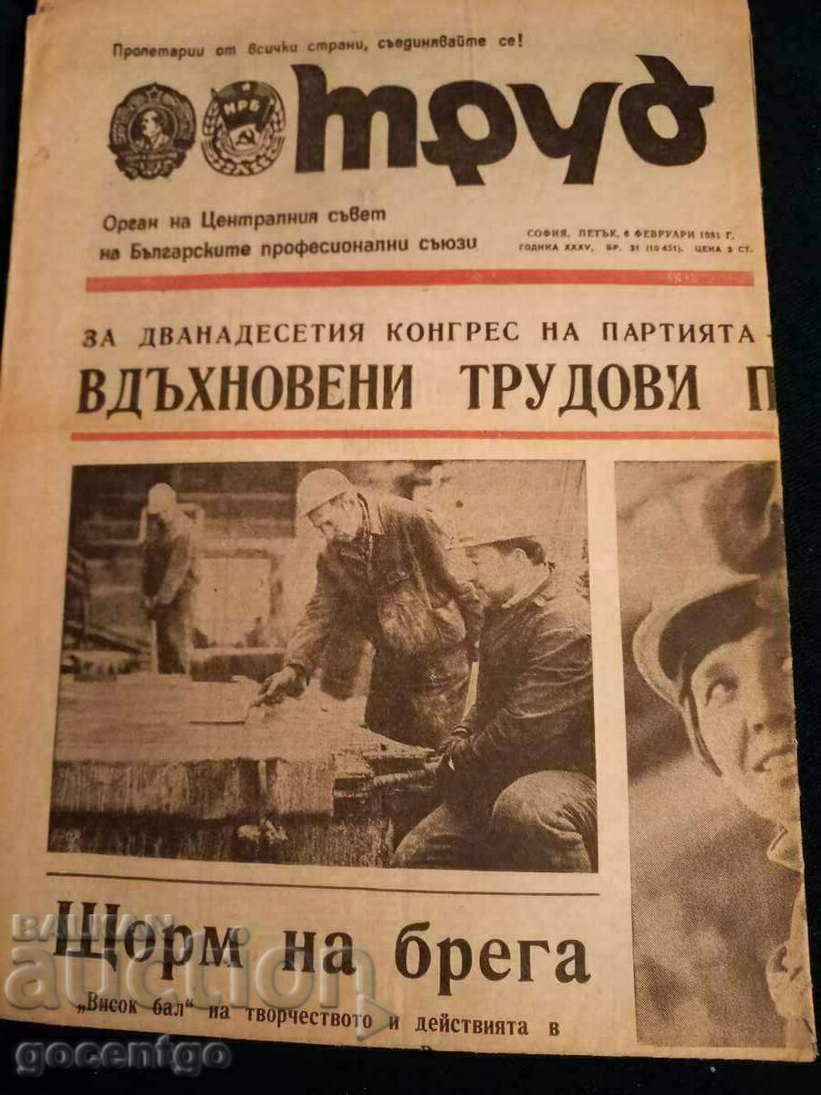 Вестник ТРУД 1981 Г