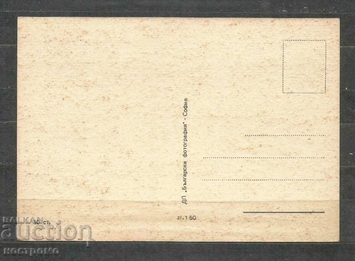 Rosa - Flora - Bulgaria Post card - A 1883 with price 1.00 BGN | € 0.51 Rosa - Flora - Bulgaria Post card - A 1883 with price 1.00 BGN | € 0.51