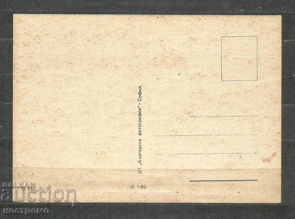 Lotos - Flora - Bulgaria Post card - A 1884 with price 1.00 BGN | € 0.51