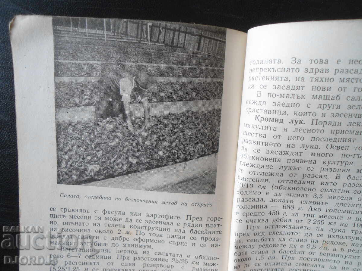 Auction Soilless Plants, Natural History Library Auction Soilless Plants, Natural History Library