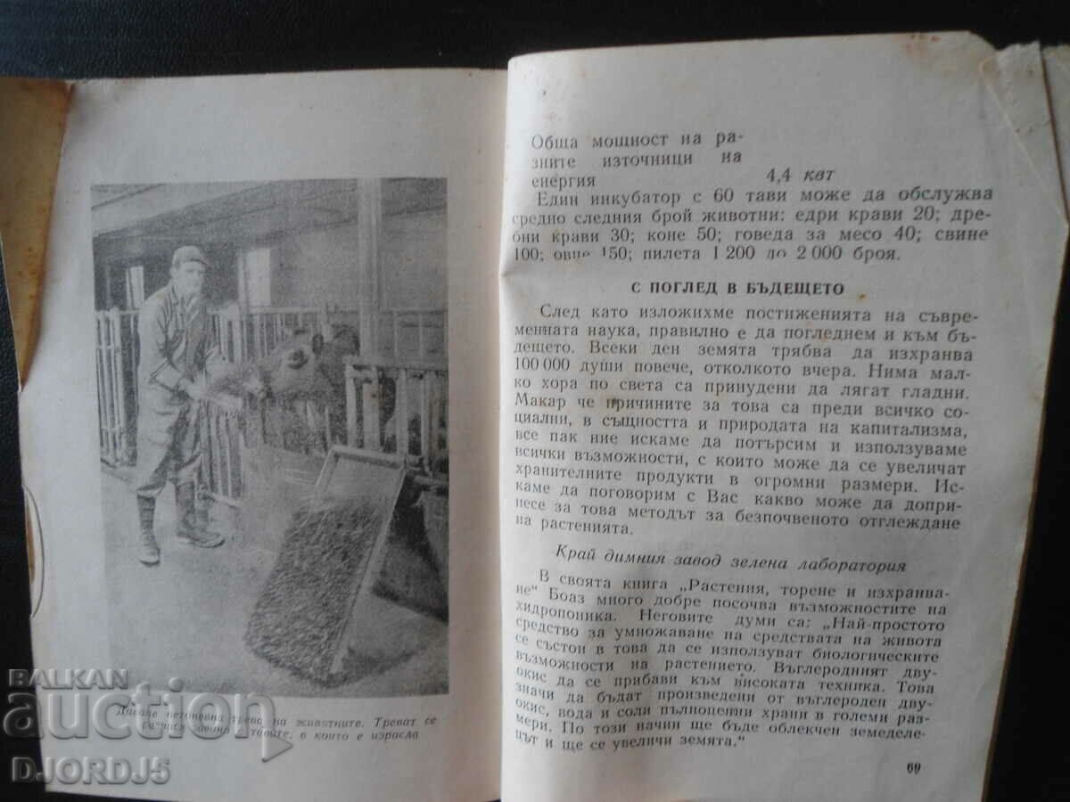 Delivery of Soilless Plants, Natural History Library Delivery of Soilless Plants, Natural History Library