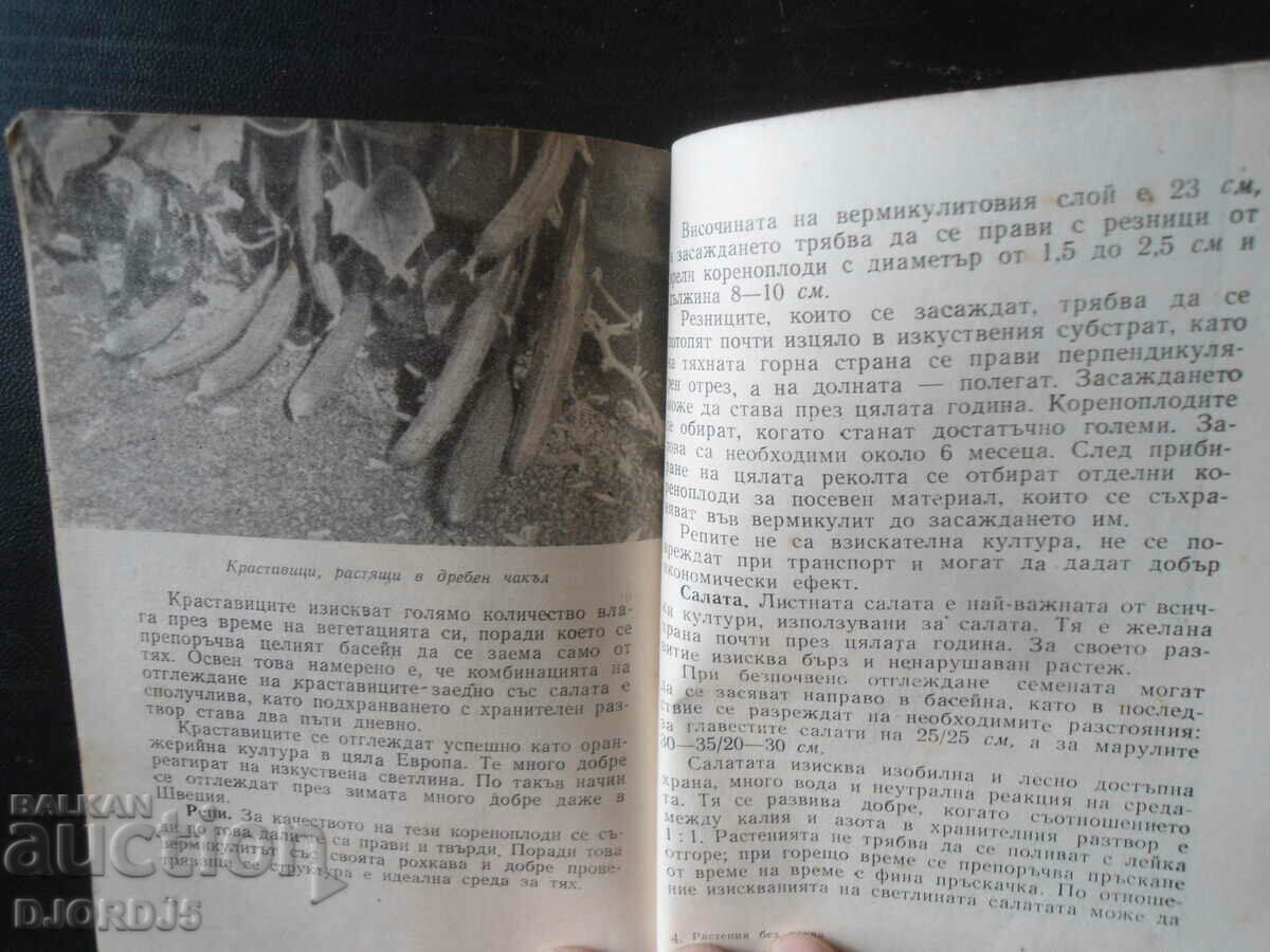 Soilless Plants, Natural History Library - 5 Soilless Plants, Natural History Library - 5