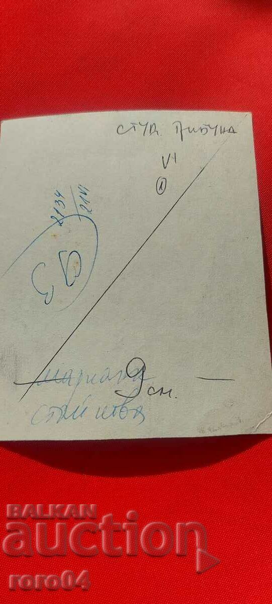 MARIANA STAYKOVA - ILLUSTRATION - 6