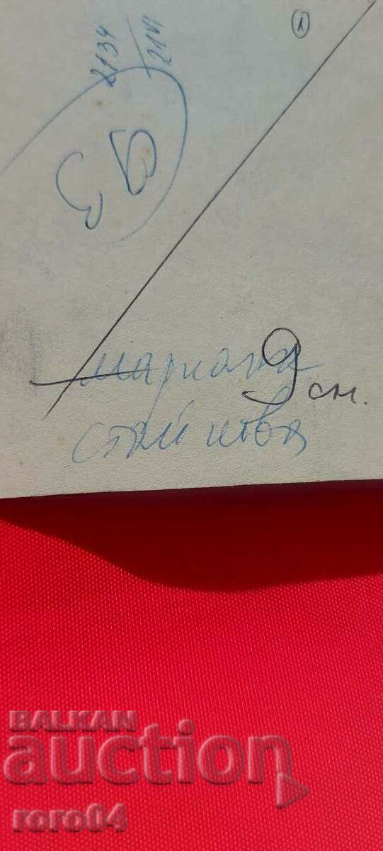 MARIANA STAYKOVA - ILLUSTRATION - 7