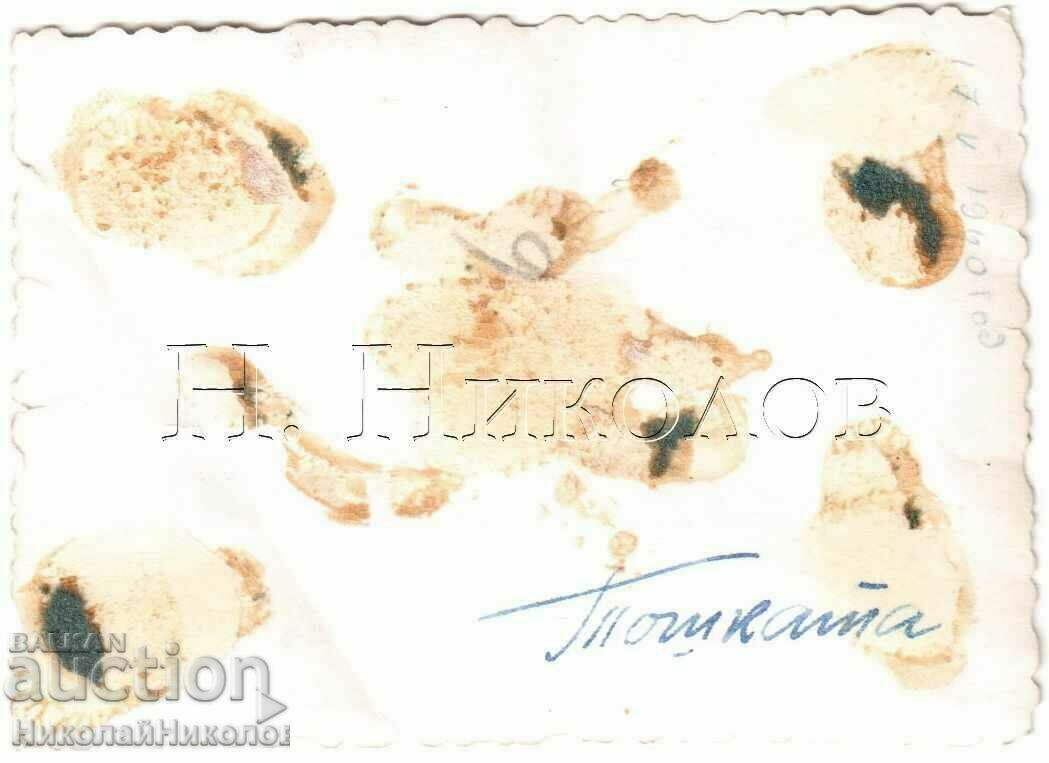 1940 LITTLE OLD PHOTO MOTORCYCLE GATHERING G558 with price 4.00 BGN | € 2.05 1940 LITTLE OLD PHOTO MOTORCYCLE GATHERING G558 with price 4.00 BGN | € 2.05