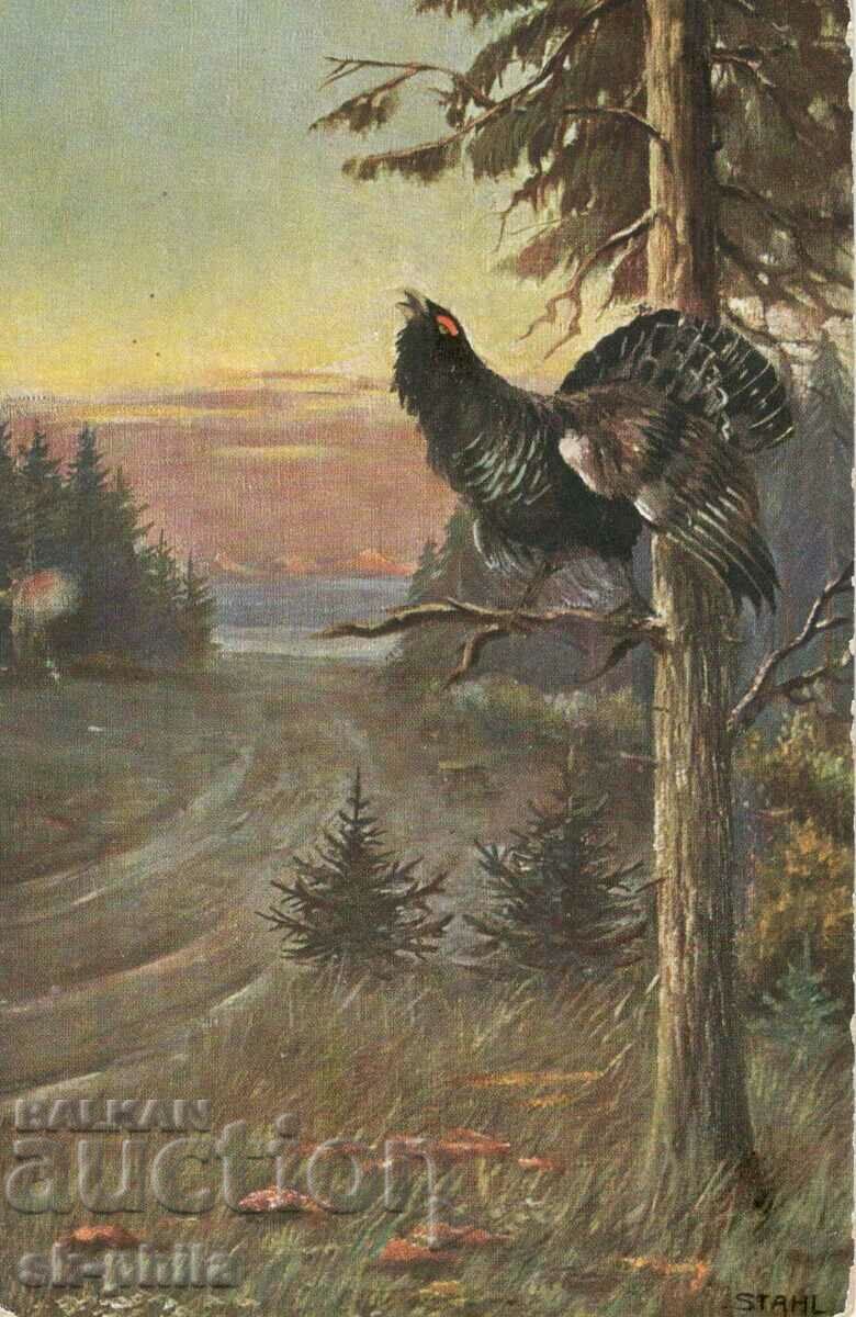 Old postcard - Fauna - Grouse Old postcard - Fauna - Grouse