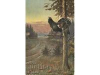 Παλιά καρτ ποστάλ - Πανίδα - Γκρέκο