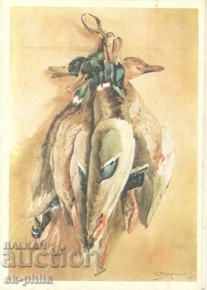 Παλιά κάρτα - Πανίδα - Κυνηγετικά τρόπαια - αγριόπαπιες