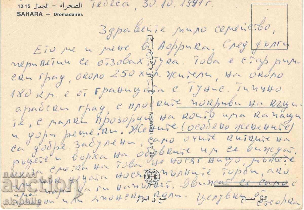 Old card - Fauna - Camel with price 0.80 BGN | € 0.41