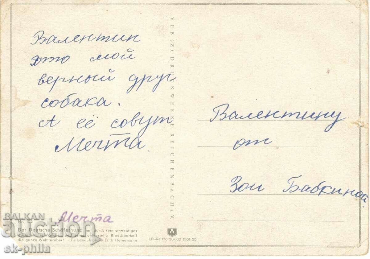 Old card - Animals - German shepherd with price 0.90 BGN | € 0.46