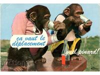 Old card - Humor - Cultural monkeys