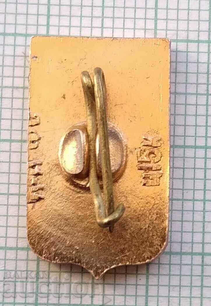 Auction 14215 Badge - USSR cities - Borovoe Auction 14215 Badge - USSR cities - Borovoe