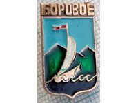 14215 Badge - USSR cities - Borovoe