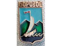 14215 Badge - USSR cities - Borovoe