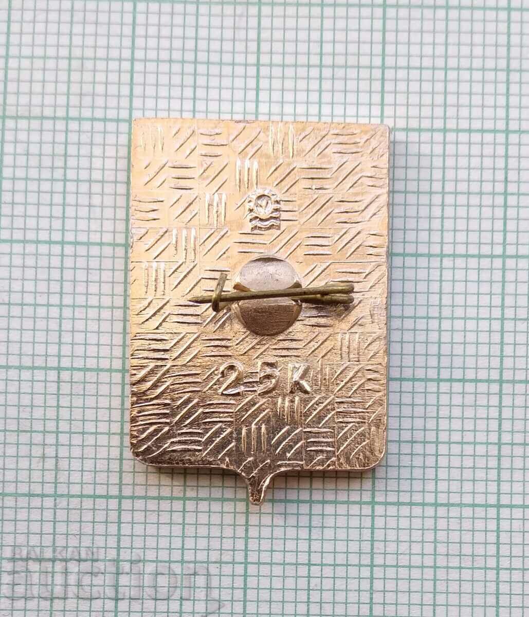 Delivery of 14224 Badge - USSR cities - Kopeysk Delivery of 14224 Badge - USSR cities - Kopeysk